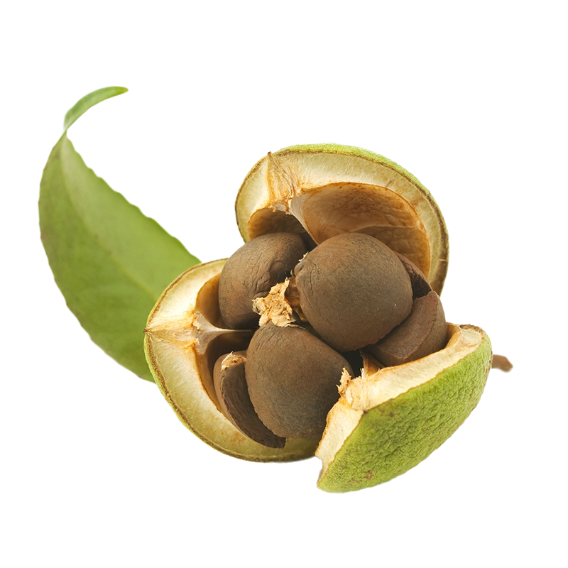 家乡味山茶油之家