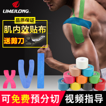 Professional kinesio patch fitness elastic muscle strain patch sports ankle brace knee ankle bandage tape