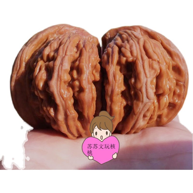 Text play walnut hand piece live professional hyperlink to make up the difference special shot