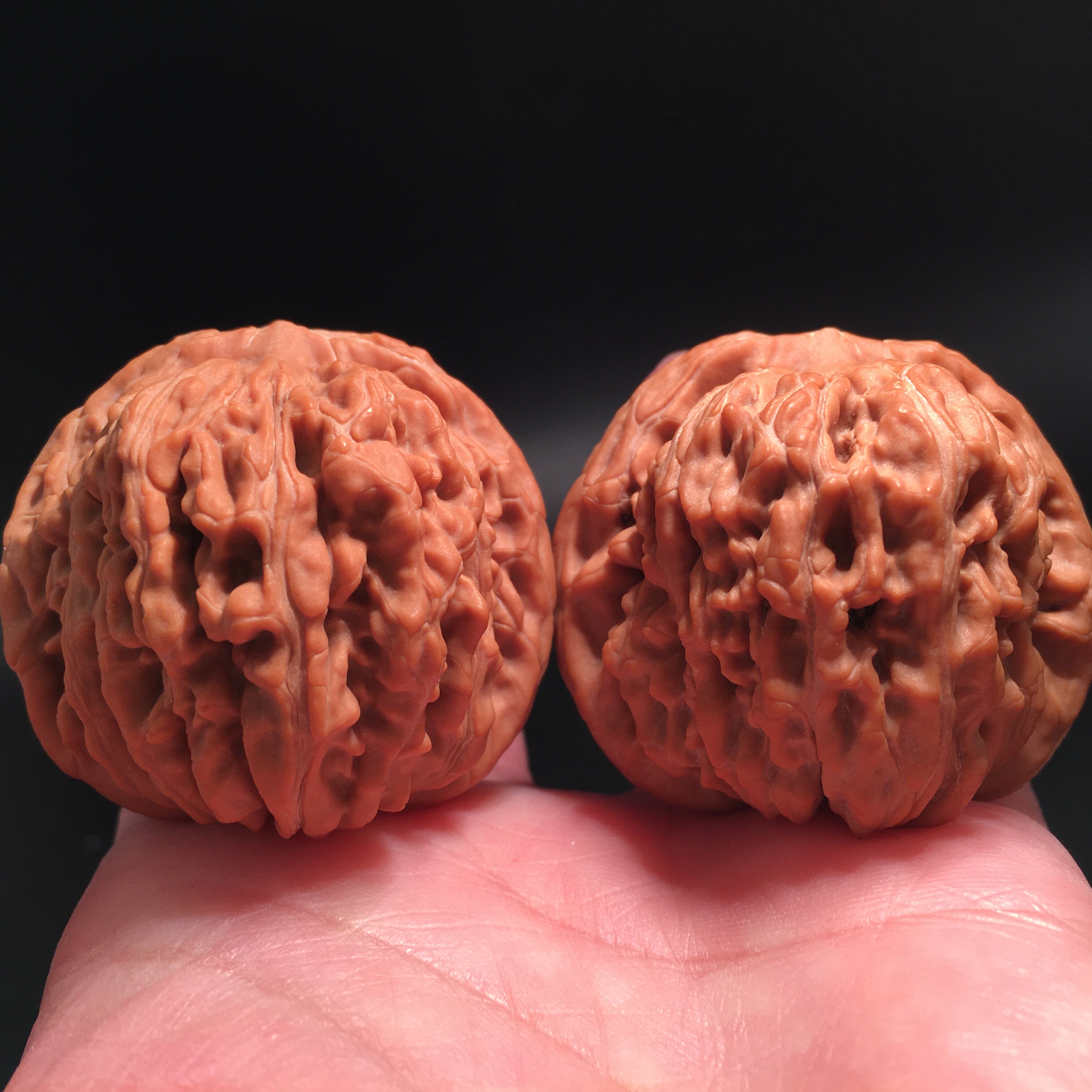 Susuven playing with walnut four building divisions subhead handlebar pieces new hands to play