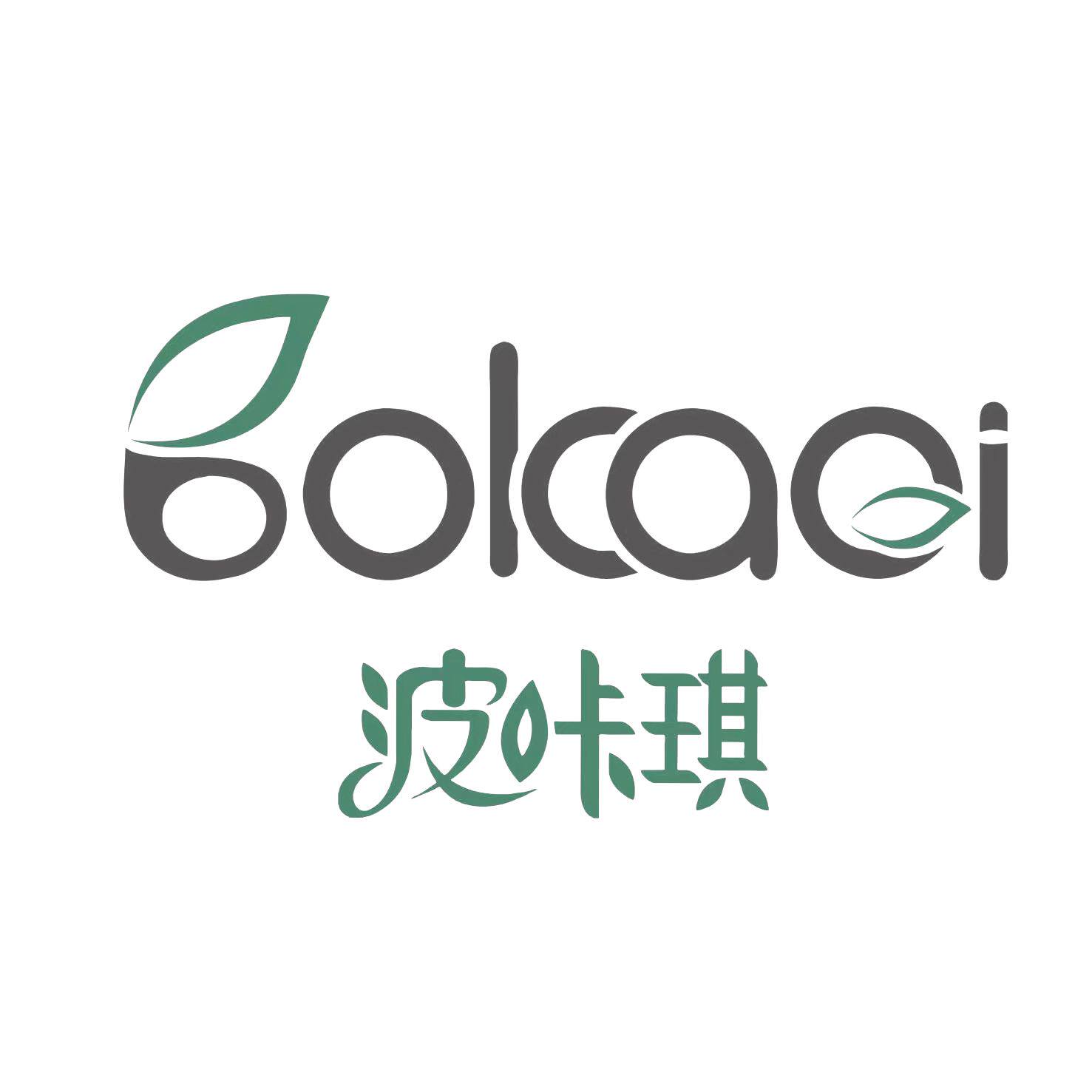 波咔琪工厂店