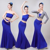 Dai dance costume female adult performance dress practice dance dress dance practice dance practice