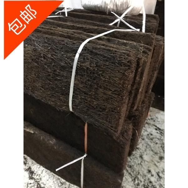 Selection of planks for planting plate of Dendrobium Annex Sheet Orange Plant Plant Plant