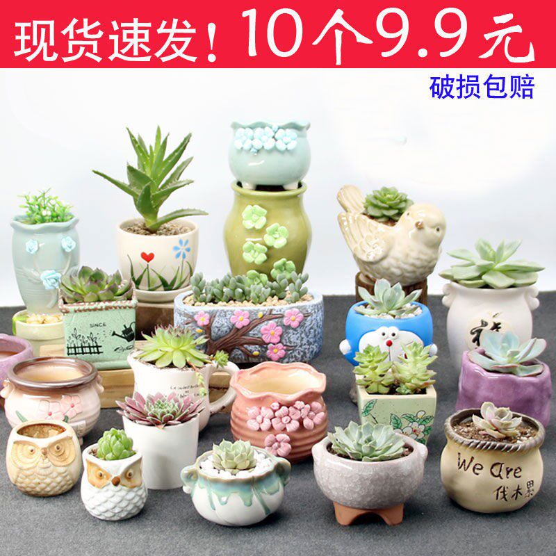 Multi-meat flowerpots wide mouth flowerpots Multi-meat flowerpots Ceramic creative size Coarse Pottery plastic minimalist Purple Sand Green