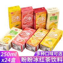 Panpan iced black tea 250mlx24 box lemon flavor honey grapefruit peach flavor drink cool fruit juice