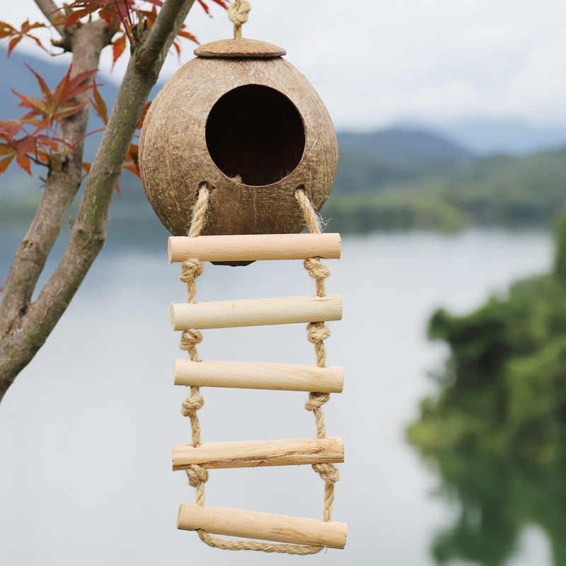 Honey bag glider nest hanging golden bear coconut shell nest peony tiger skin bird parrot nest delivery room golden squirrel nest resistant to bite - Taobao