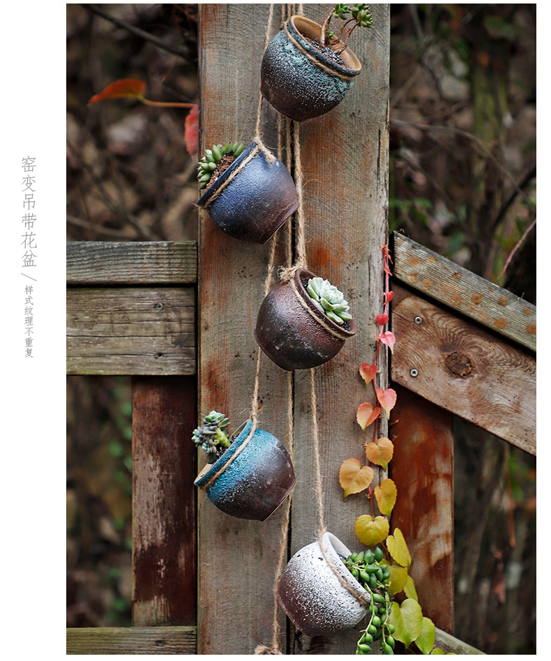Platinum jade concise hanging rope fleshy money plant bracketplant hanging flower pot hanging POTS archaize ceramic creative move