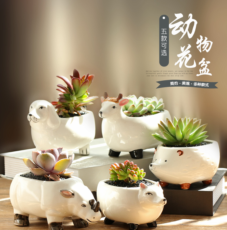 Platinum jade ceramic flower POTS of flowerpot cartoon animals more meat the plants more creative move manual coloured drawing or pattern white porcelain basin