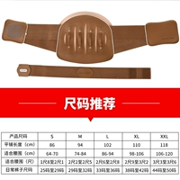 Обновление дышащей модели (27 см) Отправить самоотверженную шею +физиотерапевтическую наклейку