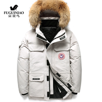 Rich bird down jacket mens short tide Korean wave handsome thick tooling outdoor warm Mens winter jacket