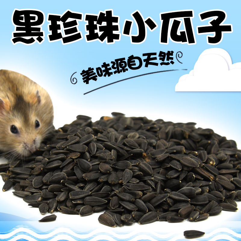 Hamster grinding tooth zero food hamster food hamster food hamster tooth supplies rabbit grinding stick Dutch pig small black black sunflower seeds 100g