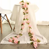 INS Flower Bar Vine Моделирование вишневой вишневой вишней виноград