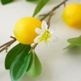 Ins маленькие свежие симуляцию лимонные фрукты