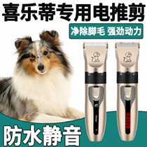 Joyty Special Electric Push Cut Pet Shave Fur Pooch Shave Professional Shave Hair Electric Pushback High Power Mute