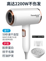 Hair Dryer Home Anti-Manic Travel Small Big Wind Girl Money Long Hair Cute 2021 New Student Dormitory