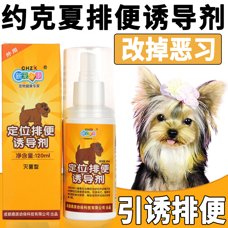 Yorkshire Toilet Inducers Dog Bowels to Prevent Chaotic Urine Guidance Training Dogs on Toilets Targeted Defecation