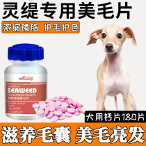 Calcium tablets eaten by hearty dogs Seaweed MeMao Lecithin Dog Special Fish Oil Pet Drop Hair Brightening Nourishment