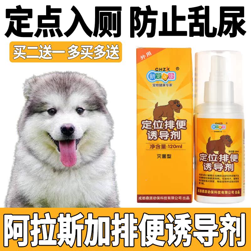 Alaska Pooch on Toilet Pinpoint Defecation Inducing Agents to Prevent Pet Dogs Mess with Urinating Urine and Relieving Nature