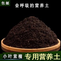 Leaflet red sandalwood special soil Leaflet red sandalwood soil potted bonsai nutrient soil Acidic sandy soil Planting soil fertilizer