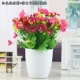 Mô phỏng thực vật mô phỏng cây xanh thiết lập đồ trang trí hoa giả ramie chậu trang trí hoa nhựa giả hoa mô phỏng - Hoa nhân tạo / Cây / Trái cây hoa giả hạc
