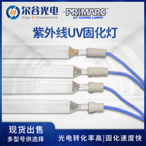 British pie lantern ultraviolet UV curing lamp PM715 original imported high pressure Mercury Lamp UV glue curing special