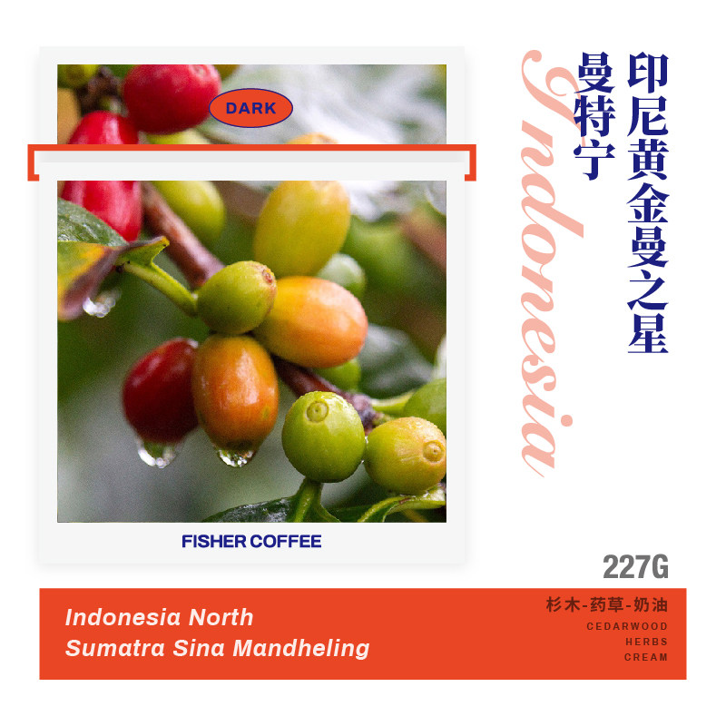 Phine Fischer FISHER Indonesia Sumatran Gold Mantenings Deep baking boutique hand sprint coffee beans N1