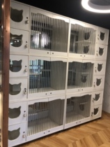 Cat villa customization