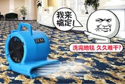 Các thiết bị gia dụng hàng ngày khác của khách sạn máy rèm thương mại Trung Quốc Máy sấy thuốc Trung Quốc máy hút ẩm lớn máy hút ẩm khô