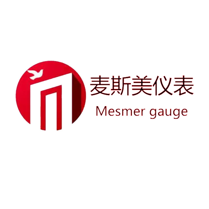 上海麦斯美自动化仪表