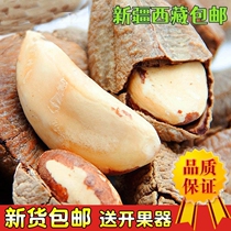 Xinjiang Tibet new abalone fruit 500g nuts dried roasted seeds and nuts new year snacks snacks desert fruit for pregnant women