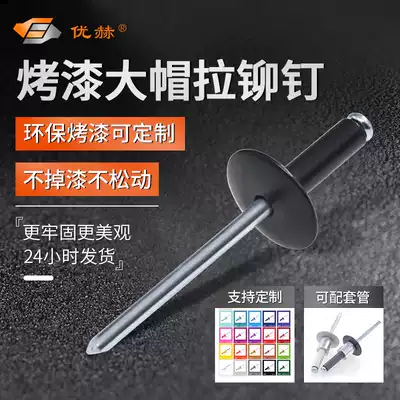 Paint big cap along blind rivets Astow combination rivets Black gray fiber cement board big cap pull rivets