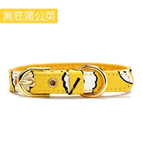 Желто-дно одуванчика-сингл