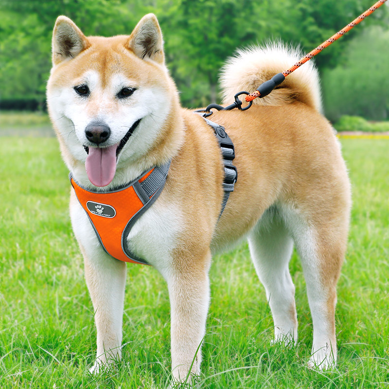 Dog traction rope vest type anti-explosion punching chest holding baby bag Supplies Chai Dog Item Circle Small and medium dog Dog Neckline Dog Rope