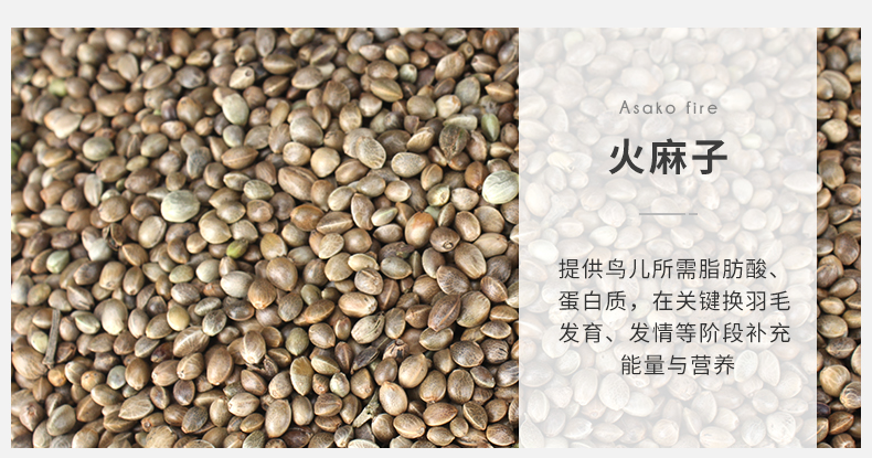 Chiến đấu với Pigeon Pigeon Pigeon Feed No Corn Dinh dưỡng Thực phẩm Pigeon Pigeon Pigeon Pigeon Pigeon Thức ăn cung cấp thực phẩm 2000g - Chim & Chăm sóc chim Supplies long chim chao mao dep