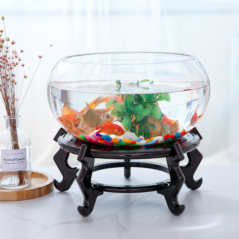 Creative Round Fish Tank Transparent Glass Turtle-cylinder Large Number of Living Room Aquarium Office Desktop View Hydroppot