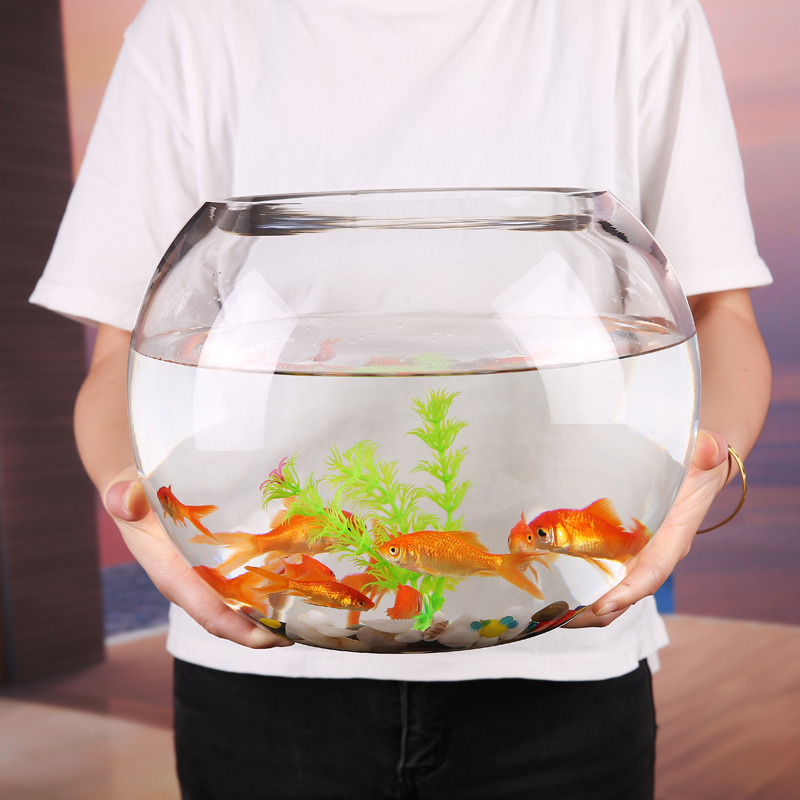 Creative round glass fish tank transparent large desktop thickened turtle tank goldfish tank hydroponic living room Feng Shui lucky