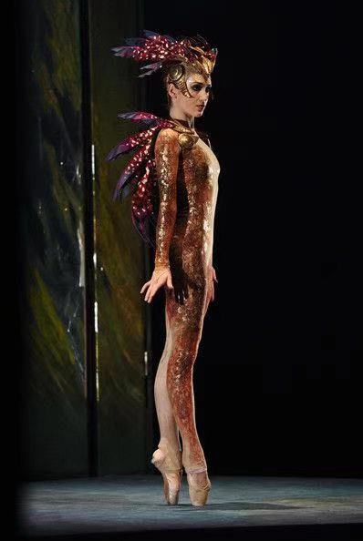 Come to the picture and customize the paragraph.