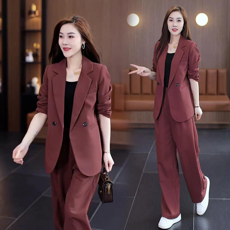 High-End Spring and Autumn Light Luxury Suit Set for Women, New Style, Professional Temperament, Drapey Wide-Leg Pants, Two-Piece Suit High-End Spring and Autumn Light Luxury Suit Set for Women, New Style, Professional Temperament, Drapey Wide-Leg Pants, Two-Piece Suit