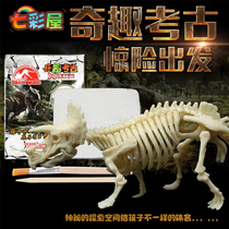 Dinosaur fossil skeleton Archaeological excavation toys Childrens handmade DIY assembly model making materials Creative gifts