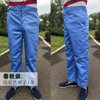 Светло -голубой [одна -кнопка пружина и осенние брюки]