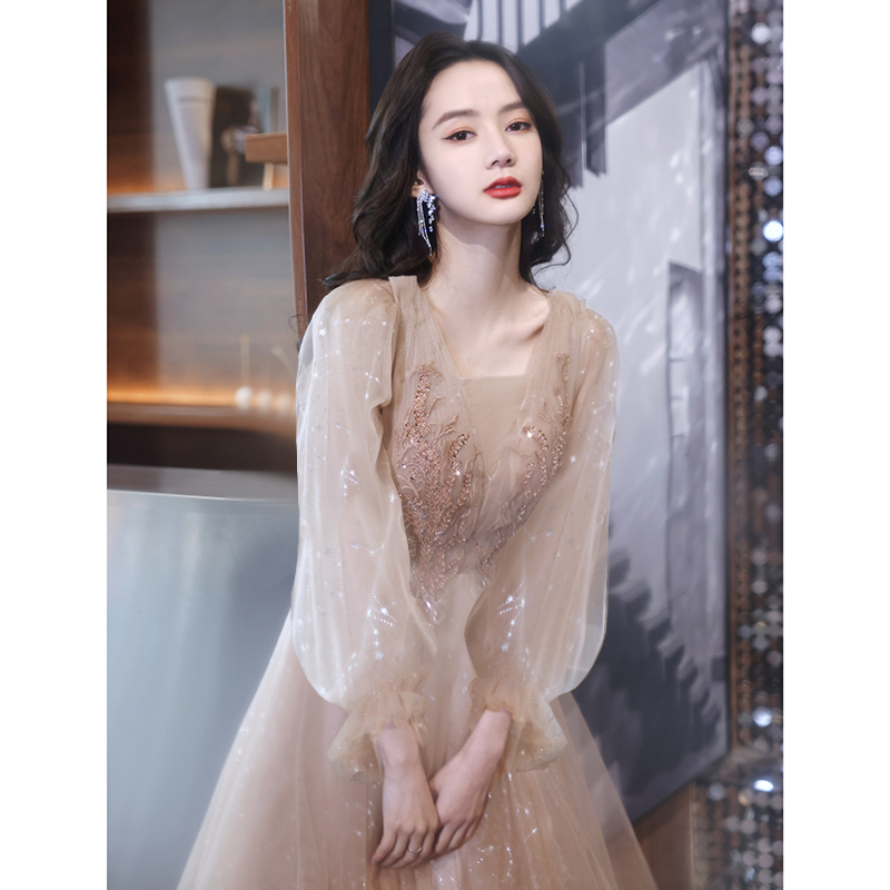  L+Long, champagne color, long sleeve, with sleeve   + $3.14 