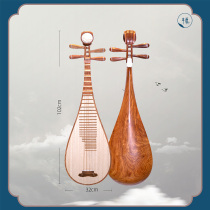 Playing the pipa with special shots