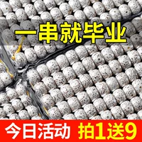 [海南毕业级精挑星月原籽佛珠手链]