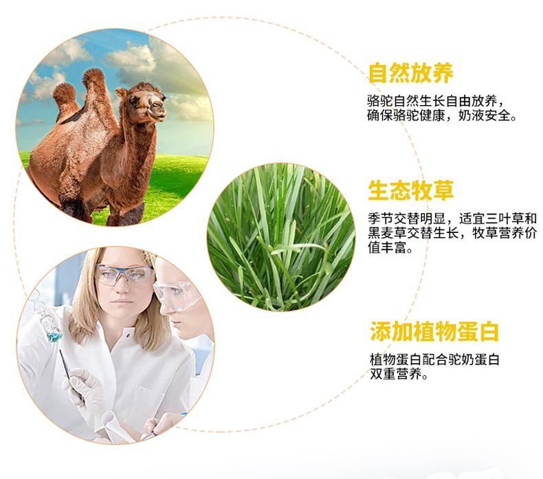 买1送1 帅趣 骆驼奶营养粉 350g 图3