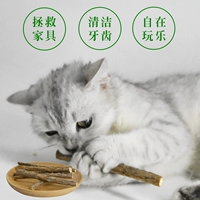 Cat Forest Wood Scorpio Rod 6 Cat Molar Stick Descaling Răng Rod Cat Bites Rod Cat Snack Cat Cung cấp cá hộp