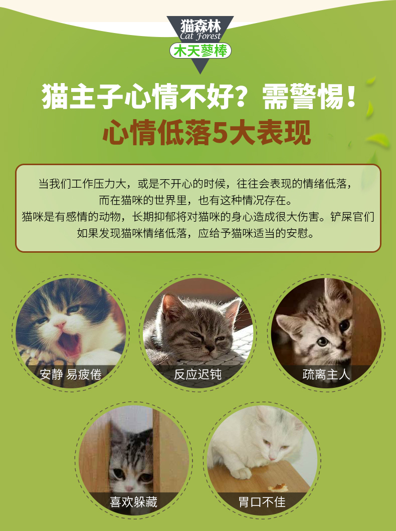 Cat Forest Wood Scorpio Rod 6 Cat Molar Stick Descaling Răng Rod Cat Bites Rod Cat Snack Cat Cung cấp thức ăn mèo minino