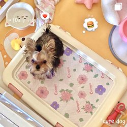 Alice Dog Toilet Pet Potty Urinal Small Size Dogs Teddy Tablet Alice Fixed-Point Urine Pad Dog Toilet