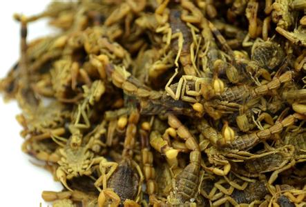 Chinese herbal medicine Shanxi whole dried scorpion clamp scorpion whole worm salt water 500g
