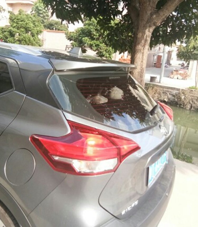 Nissan Jinke mới 17 cánh đuôi đặc biệt Nissan Jinke sơn miễn phí mô hình gốc duoi ca xe oto