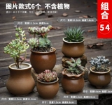 Платиновая нефритовая полинут горшок грубая керамика Anergue Family Ретро -зеленый растение мякоть с большим диаметром крупно -диаметров.